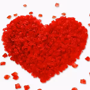 Mākslīgo sarkano rožu ziedlapiņas – 500 gab. romantiskam dekoram, kāzām un Valentīndienai