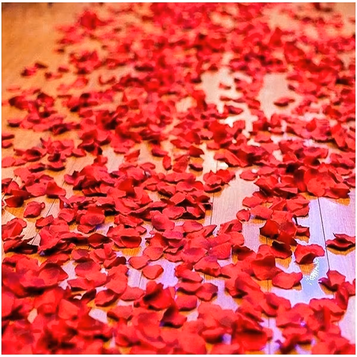 Sarkanas mākslīgās rozes ziedlapiņas ideālam Valentīna dienas dekoram