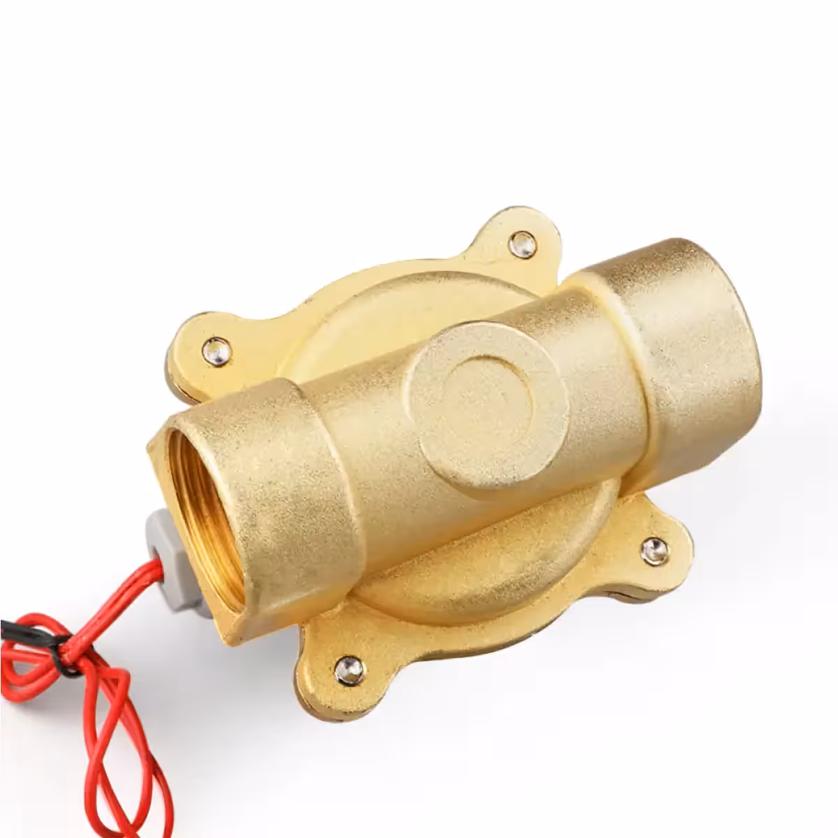 Automātiskais 220V solenoīda vārsts apūdeņošanai